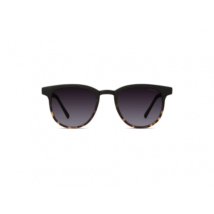 Francis Matte Black Tortoise Sunglasses