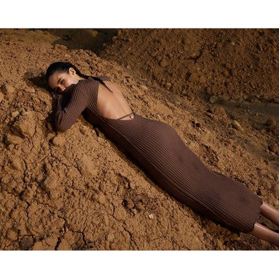 Hidden Gem Brown Dress