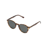 Liam Tortoise Sunglasses