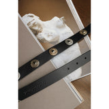 All In You Belt