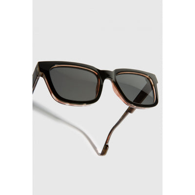 Bobby Black Tortoise Sunglasses