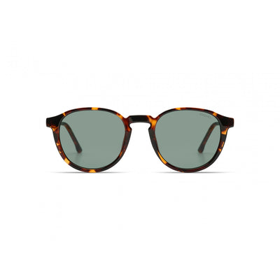 Liam Havana Sunglasses